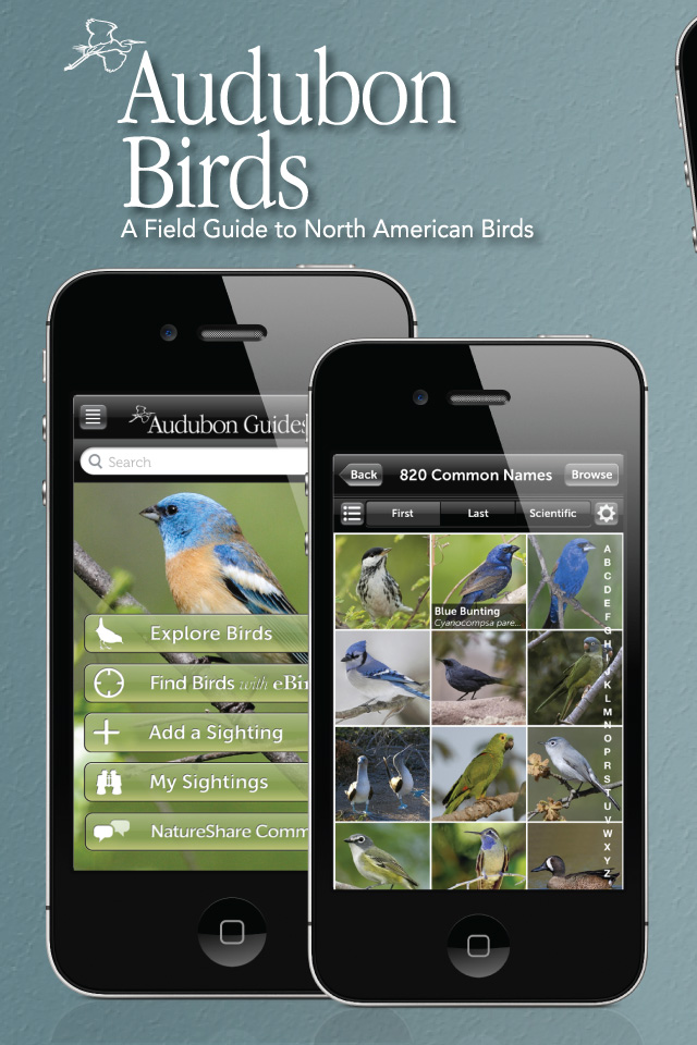 Audubon Birds iPhone